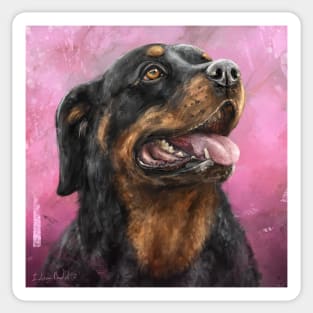 Painting of a Gorgeous Rottweiler with Its Tongue Out, Purple Spattered Background Sticker